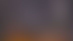 Shad Rahman Olivier Palmeus fue reportado como desaparecido sobre las 3pm en su casa al norte de Miami.