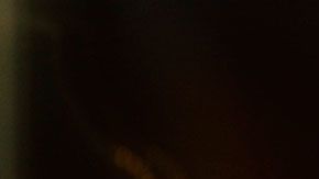 Una pizza con este ingrediente puede alcanzar un precio de $2 mil dólares.