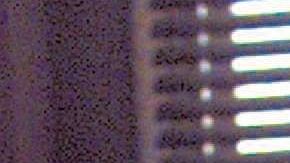 NYPD investiga las circunstancias