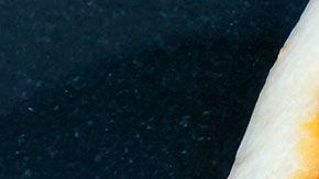 Funcionarios de salud del Departamento de Kane advierten sobre posibles bacterias dañinas en 11 mil libras de pepperoni.