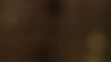 La mamá rata salva a su cría de ser devorada por una serpiente.