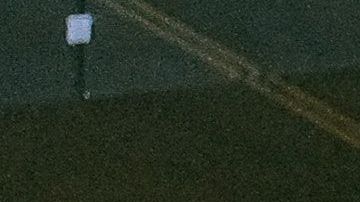 Un 49% de los estadounidenses planean tomar vacaciones en caso de recibir un segundo cheque de estímulo