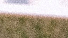 La explicación llegó después de que China asegurara haber encontrado partículas COVID-19 en alimentos importados.