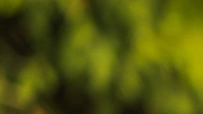 El karma es la energía positiva o negativa que emana de nuestros actos.