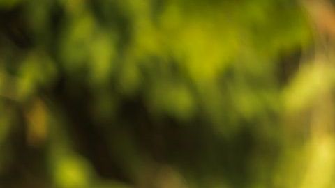 El karma es la energía positiva o negativa que emana de nuestros actos.