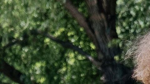 La chica iba en su camino cuando fue sorprendida por esta persona.