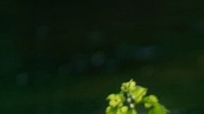 Hay mujeres que, astrológicamente, no pueden cortar una pareja tóxica.