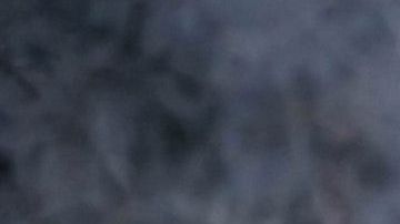 La baja de afluencia de turistas podría haber contribuido a la alta en la tasa de nacimientos.