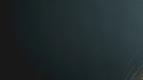 Hay signos que son muy desesperados.