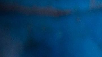 Todo fue una terrible confusión.