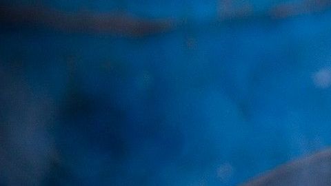 Todo fue una terrible confusión.