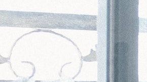 Las plantas ideales para el hogar, según el Feng Shui.