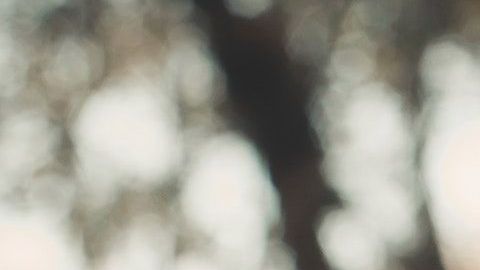 pexels-jesus-arias-2894864