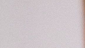 "Bruce Willis" es un felino de 7 años que ha conmovido el corazón de muchos.