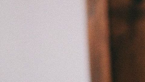 "Bruce Willis" es un felino de 7 años que ha conmovido el corazón de muchos.