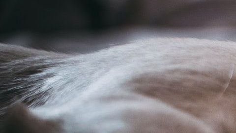 El terrible accidente que sufrió Iron fue dado a conocer por una usuaria de Facebook.