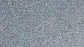 Pan de manzana y nuez.