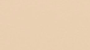 Las personas que son Virgo son muy perfeccionistas.