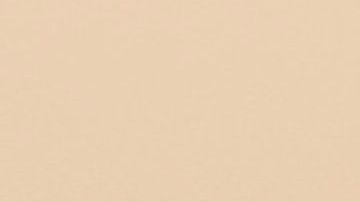 Las personas que son Virgo son muy perfeccionistas.