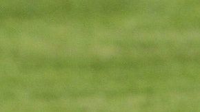 Un menor murió al instante mientras que los demás fallecieron en el hospital.