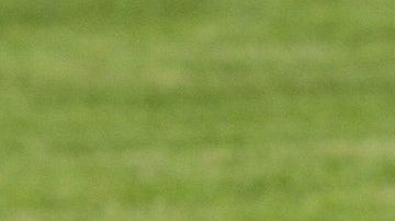 Un menor murió al instante mientras que los demás fallecieron en el hospital.