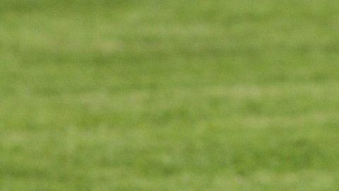 Un menor murió al instante mientras que los demás fallecieron en el hospital.