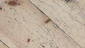 Conoce qué significa soñar con la comida.