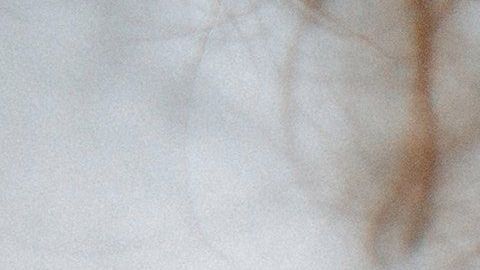 Las emociones rigen a estos signos zodiacales.