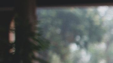 La timidez es un rasgo presente en algunos signos zodiacales.