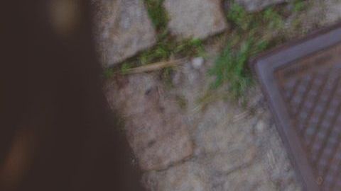 Hay signos que son fáciles de engañar.