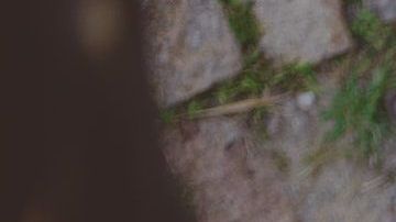 Hay signos que son fáciles de engañar.