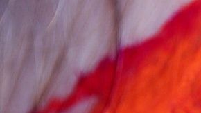 Los colores poseen un singular significado en los sueños.