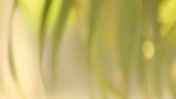 Un cliente se percató de la curiosa situación.