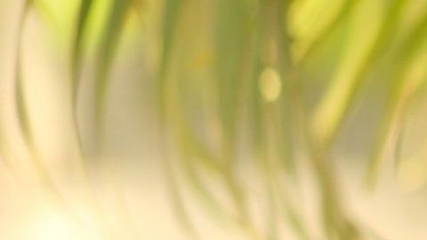 Un cliente se percató de la curiosa situación.