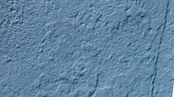 Virgo es compatible con signos de agua y tierra, su mismo elemento.