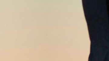 El perro pensó que se trataba de una emergencia.