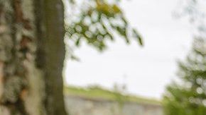 Existen hechizos de magia blanca para separar una pareja.