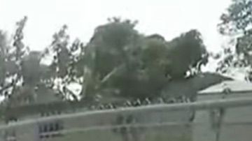 Imagen de la cámara corporal de uno de los agentes de policía del condado de Miami-Dade.