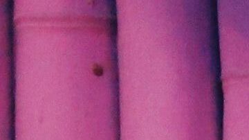 Hay señales que indican sobre la presencia de los ángeles.