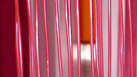 Maite Perroni, Anahí y Dulce María formaron parte de RBD.