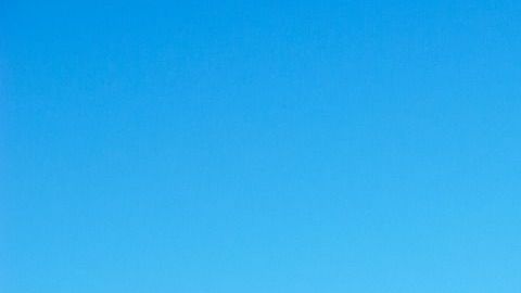 El autobús se incendió en su camino de vuelta dese Nueva Orleans.