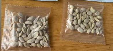 Las semillas de China.