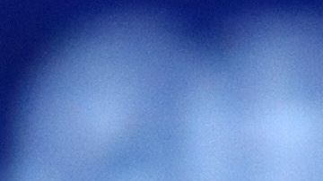 autos de serena williams