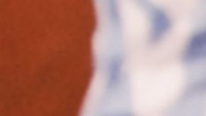 Seguro que no se te hubiera ocurrido algo así.