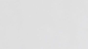 shutterstock_1040683891