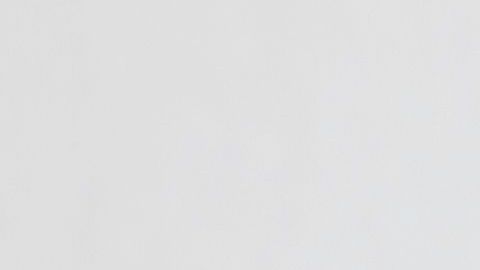 shutterstock_1040683891