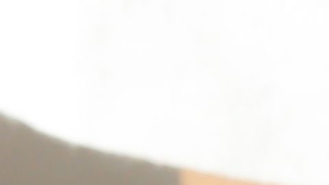 shutterstock_1045108318