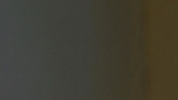 shutterstock_1100300027