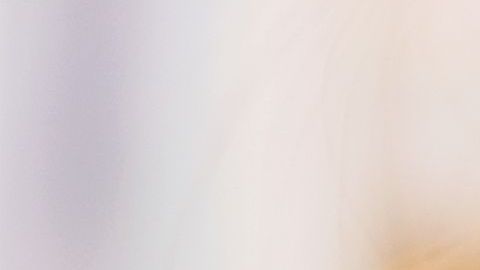 shutterstock_1132639229