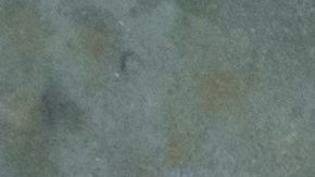 No hay quien se haga cargo de los chicos.